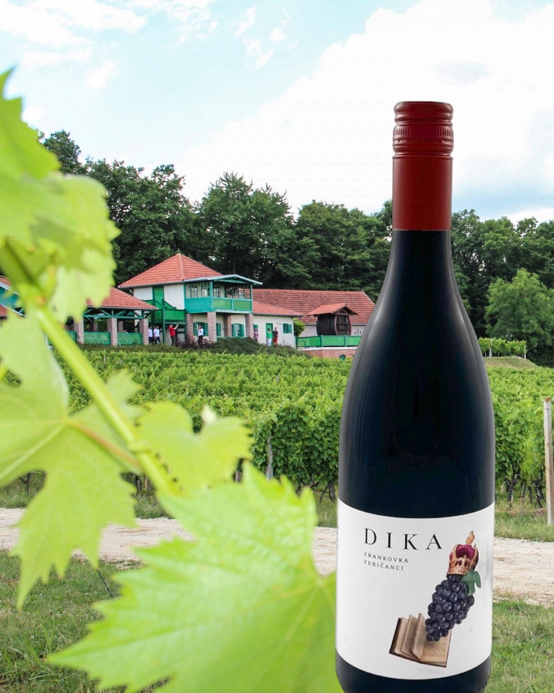 Enosophia Dika Frankovka