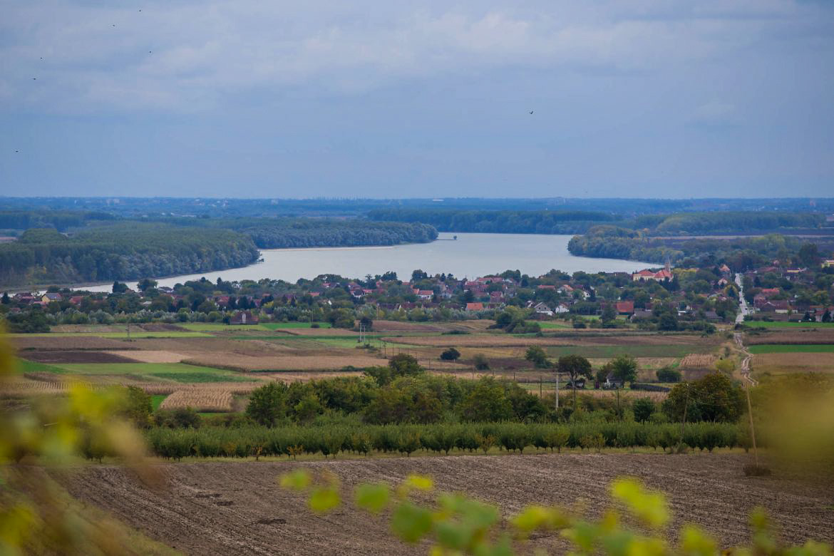 Vina Jakovac wijngaard