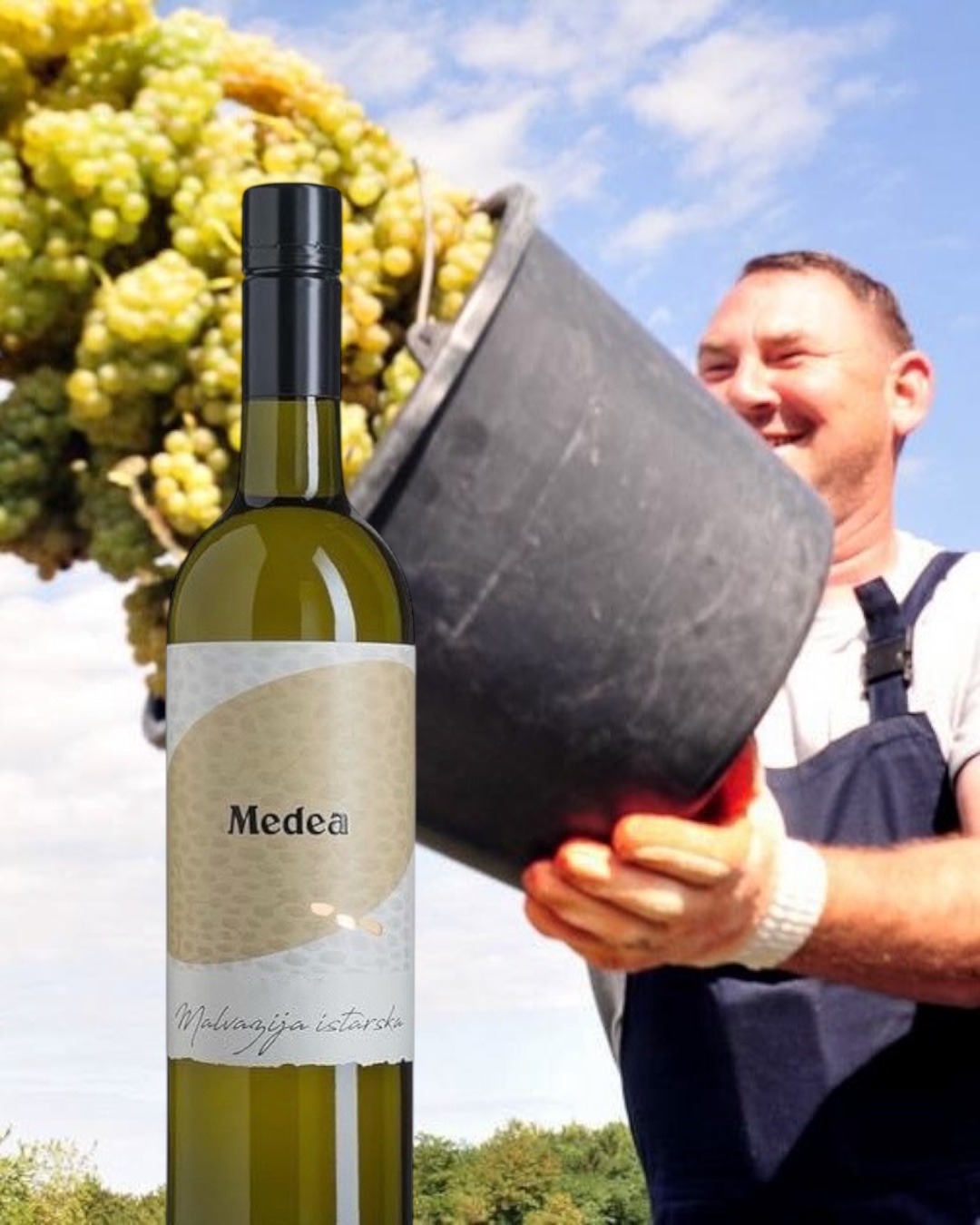 Zomerwijn Medea Malvazija