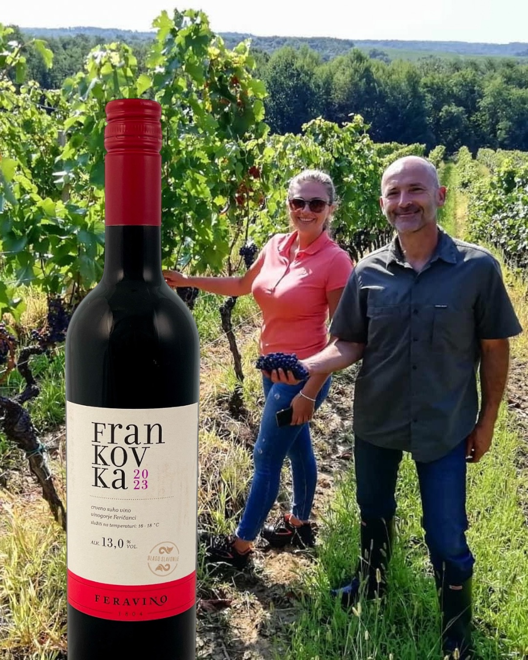 Zomerwijn Classic Frankovka