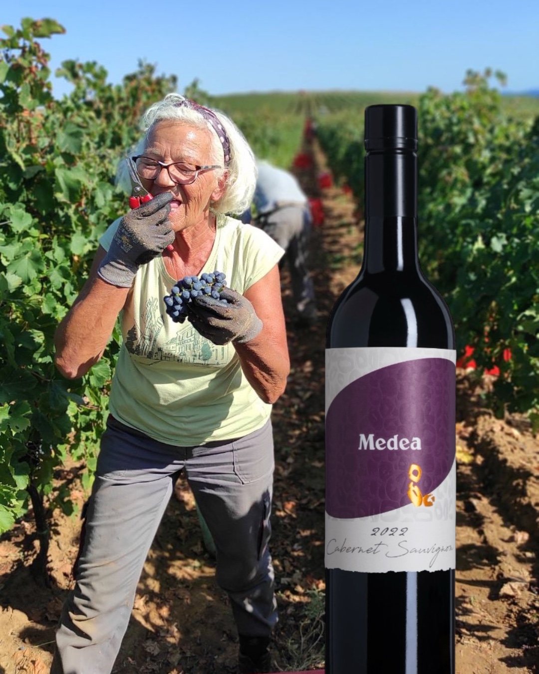 Zomerwijn Medea Cabernet Sauvignon