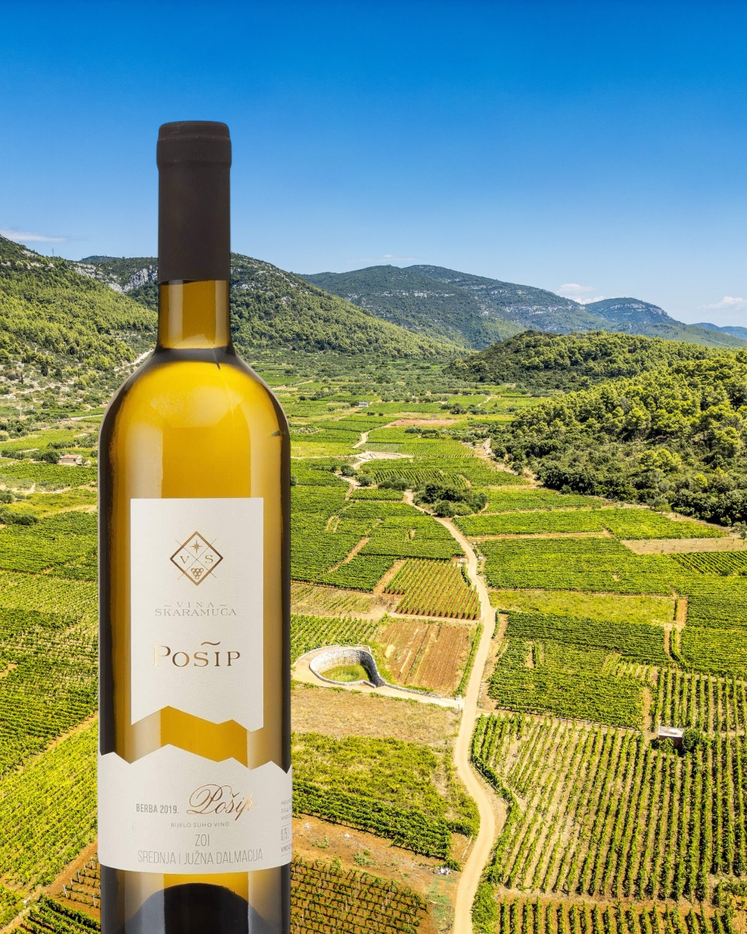 Zomerwijn Medea Malvazija